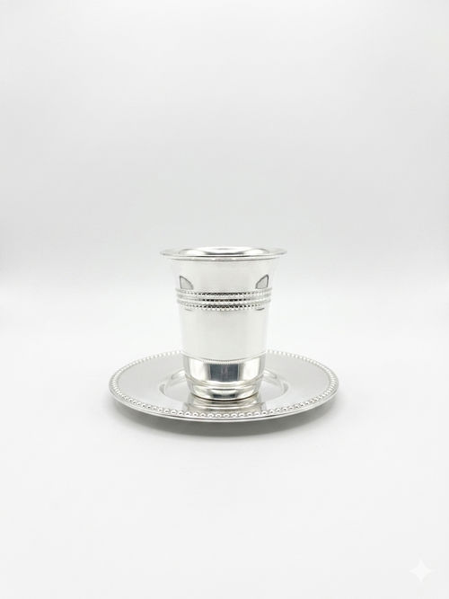 Silver cup and saucer set on a white background